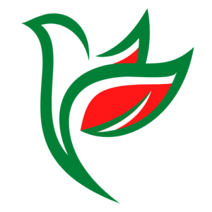 ycicon 1